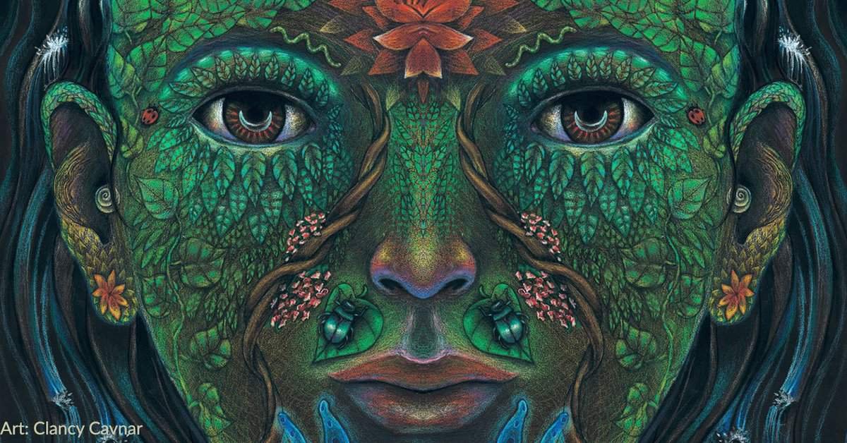 ayahuasca účinky