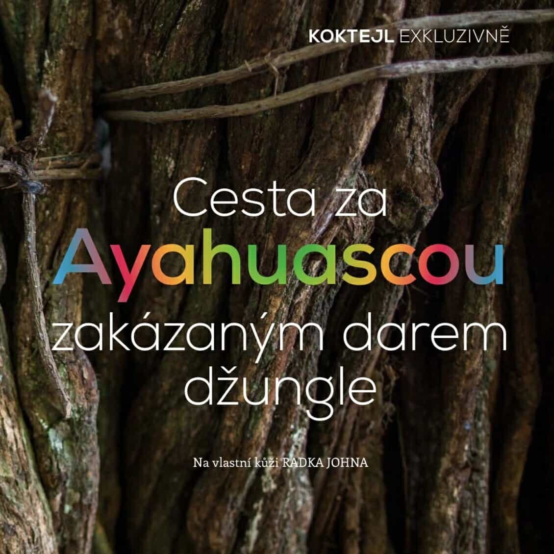 Ayahuasca ceremonie v Amazonii a náš ayahuasca pobyt popsal také Radek John