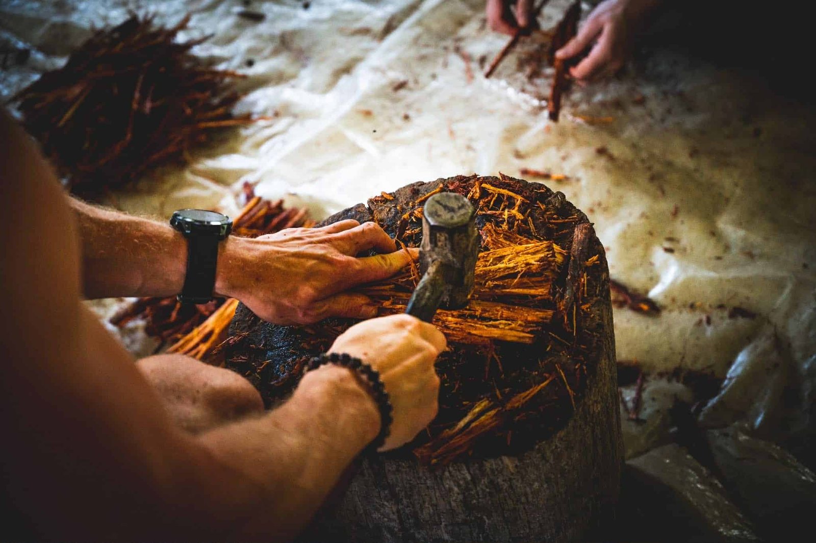 jak se připravuje ayahuasca