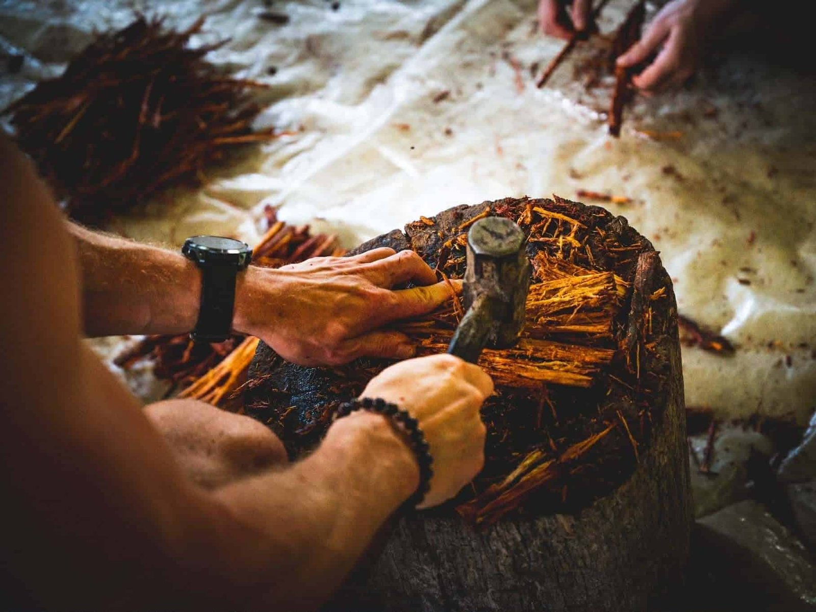 připrava ayahuasca na pobytu v ekvádoru připrava ayahuasca na pobytu v ekvádoru