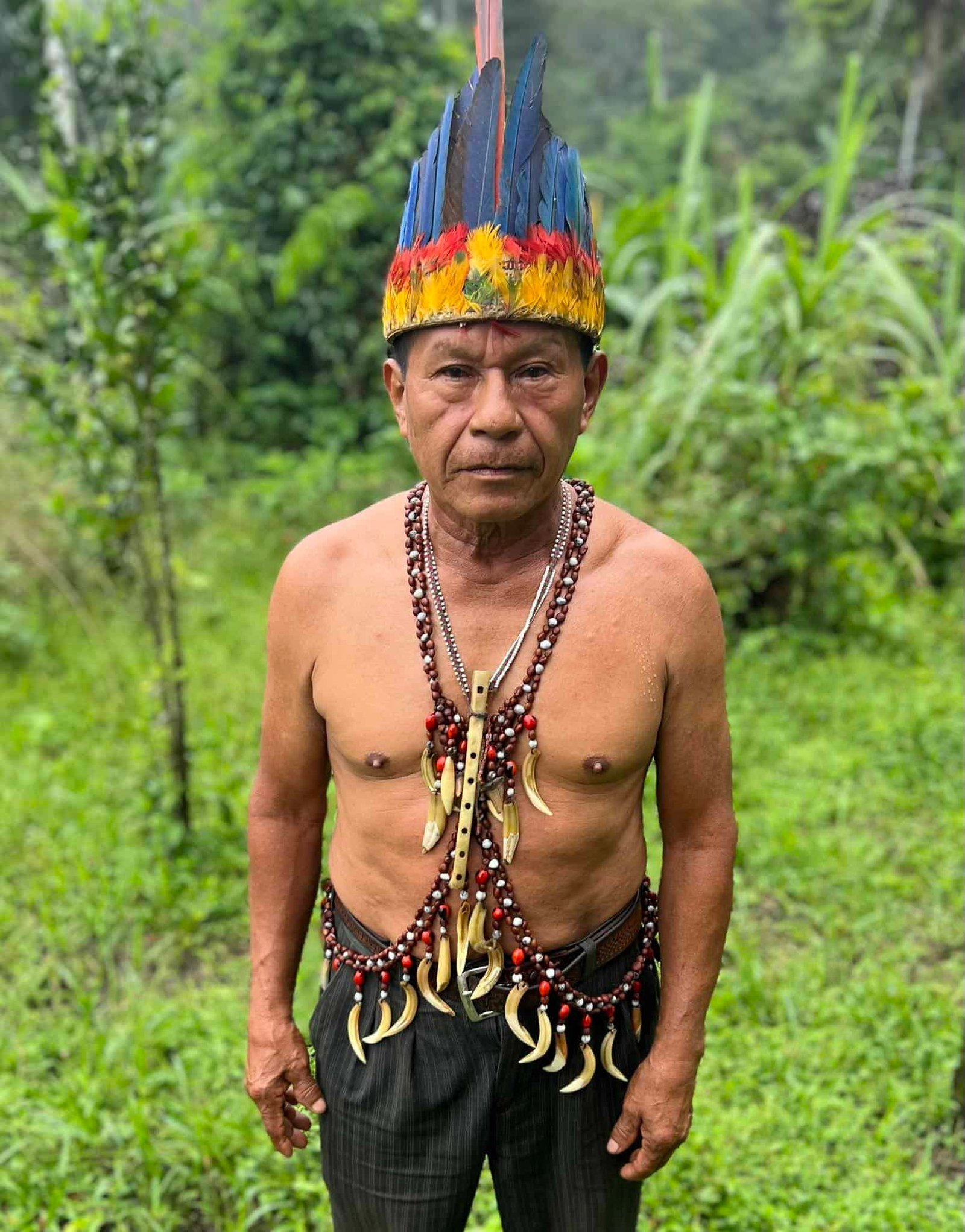kichwa ayahuasca shaman for ecuador ayahuasca retreat don luis